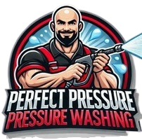 qtq95-removebg-preview